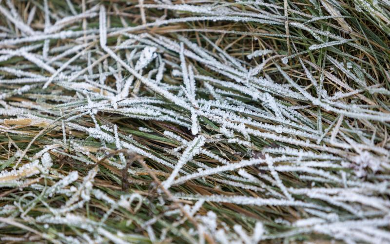 Az éjszaka rendkívül hideg lesz, és bizonyos területeken a hőmérséklet akár -16 fokra is süllyedhet. (TÉRKÉP)