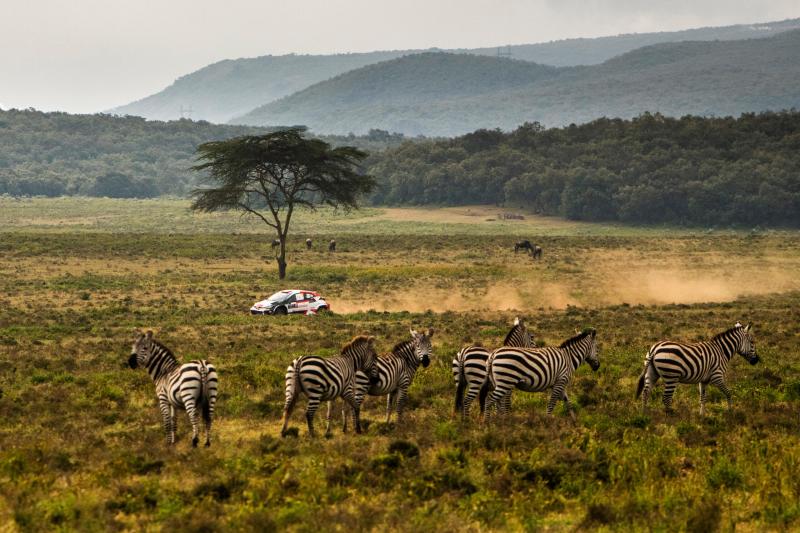 Jövőre még izgalmasabb és hosszabb kihívások várnak ránk a legendás Szafari Rally keretein belül!