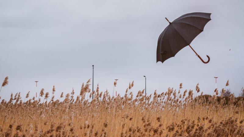 Hétfőn különleges fordulat várható az időjárásban Magyarországon: érdemes figyelemmel kísérni a változásokat - Agrárszektor.