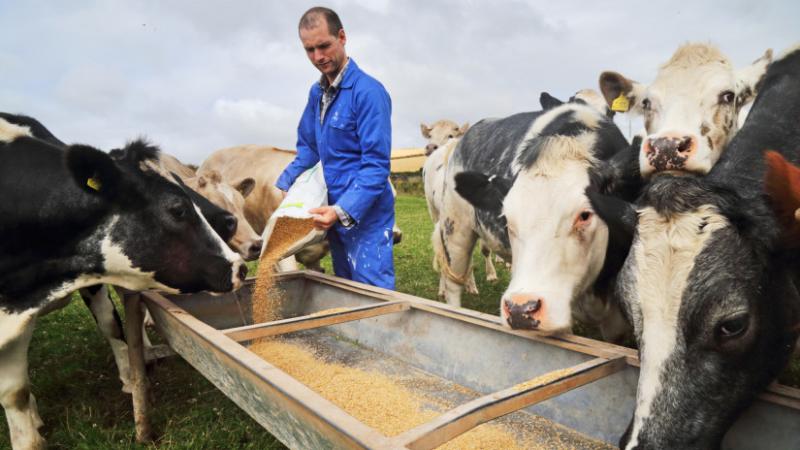 Az időjárás mindent felforgathat: a helyzet rendkívül súlyos ebben a régióban - Agrárszektor