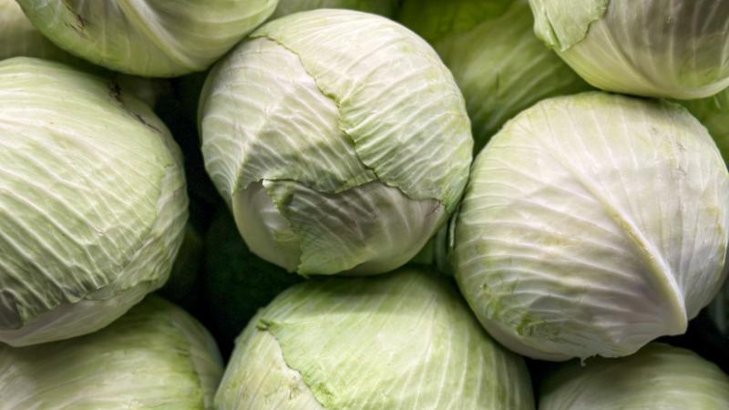 Ez meglehetősen drága: ennyibe kerül jelenleg egy kilogramm káposzta az ukrán piacokon - Agro Napló.